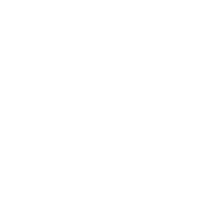 Volkswagen - blanc